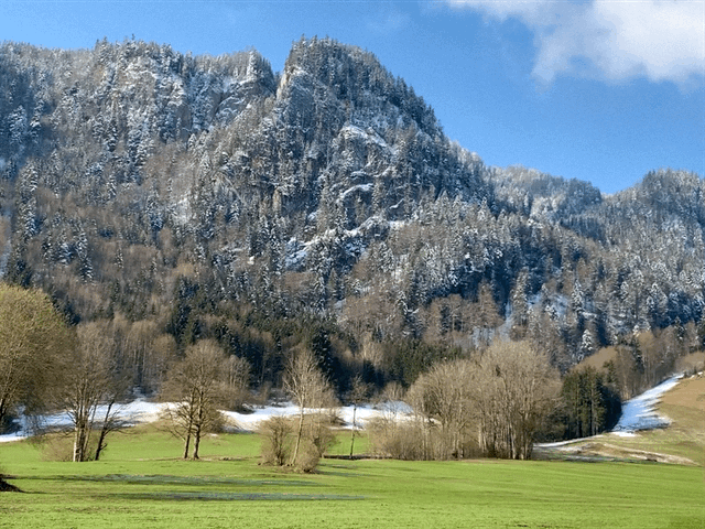Hinterw&ouml;ssen